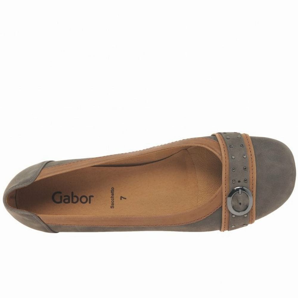 Gabor Michelle Vanliga Stud Spännen Ballerina Dam Bruna | QKD-698457